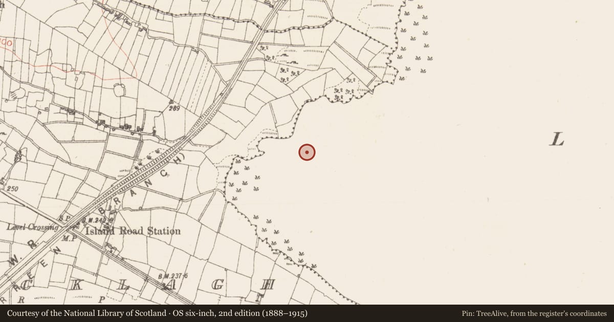 Ordnance Survey six-inch map, 2nd edition (1888–1915) covering the location of Crannog, Lough Gara, County Sligo, with a pin at the register's coordinates