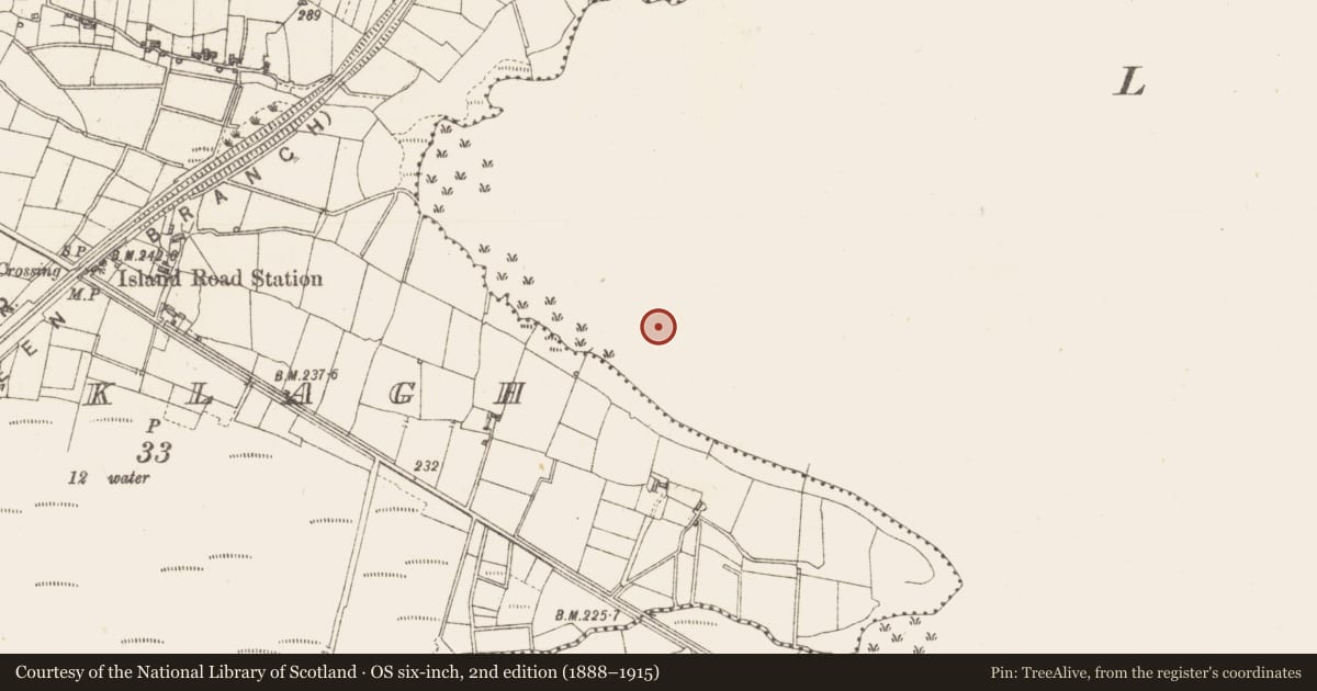 Ordnance Survey six-inch map, 2nd edition (1888–1915) covering the location of Crannog, Lough Gara, County Sligo, with a pin at the register's coordinates