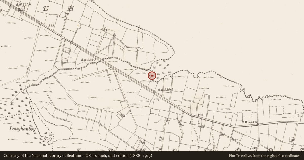 Ordnance Survey six-inch map, 2nd edition (1888–1915) covering the location of Crannog, Lough Gara, County Sligo, with a pin at the register's coordinates