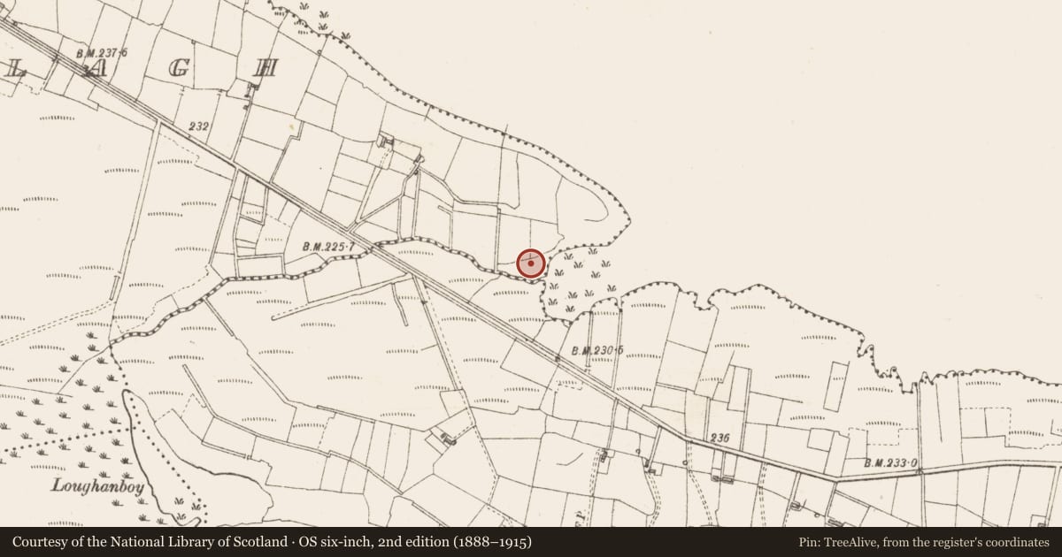 Ordnance Survey six-inch map, 2nd edition (1888–1915) covering the location of Crannog, Lough Gara, County Sligo, with a pin at the register's coordinates