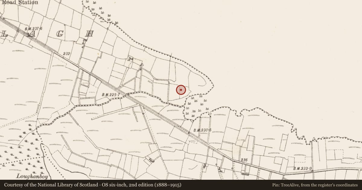 Ordnance Survey six-inch map, 2nd edition (1888–1915) covering the location of Crannog, Lough Gara, County Sligo, with a pin at the register's coordinates