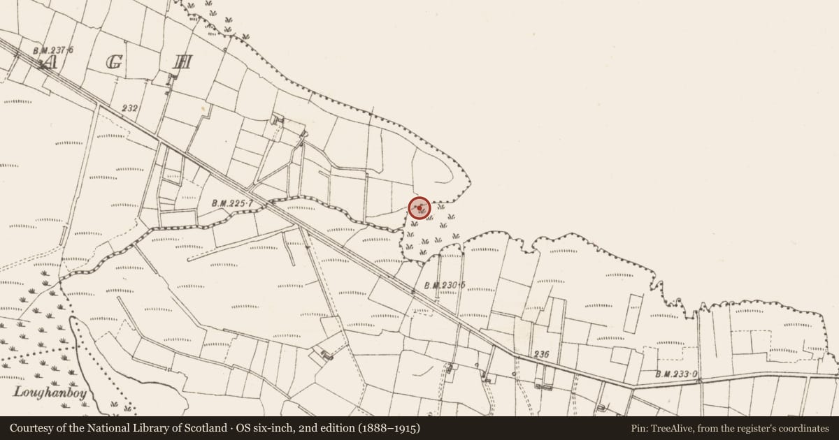 Ordnance Survey six-inch map, 2nd edition (1888–1915) covering the location of Crannog, Lough Gara, County Sligo, with a pin at the register's coordinates
