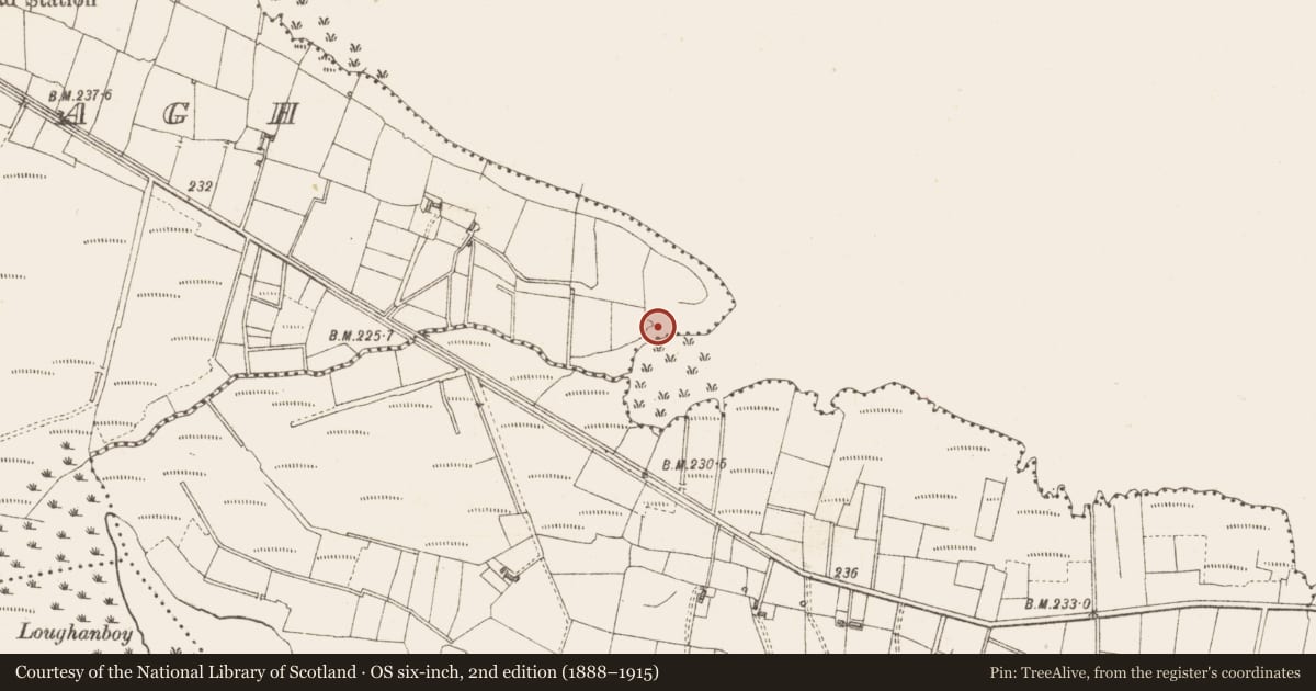 Ordnance Survey six-inch map, 2nd edition (1888–1915) covering the location of Crannog, Lough Gara, County Sligo, with a pin at the register's coordinates