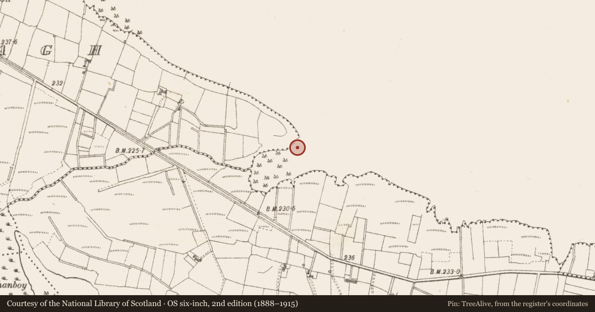 Ordnance Survey six-inch map, 2nd edition (1888–1915) covering the location of Crannog, Lough Gara, County Sligo, with a pin at the register's coordinates