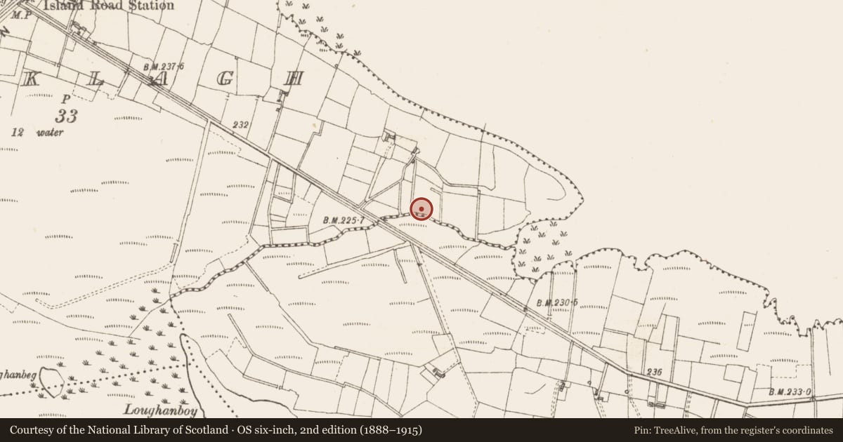 Ordnance Survey six-inch map, 2nd edition (1888–1915) covering the location of Crannog, Lough Gara, County Sligo, with a pin at the register's coordinates