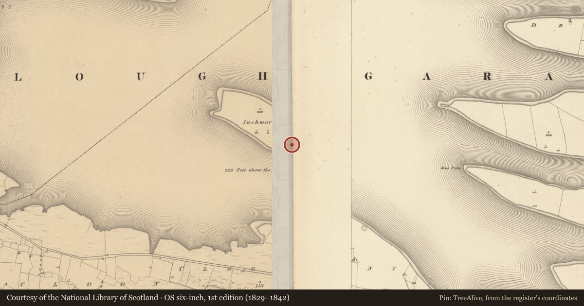 Ordnance Survey six-inch map, 1st edition (1829–1842) covering the location of Souterrain, Inchmore Island, County Sligo, with a pin at the register's coordinates