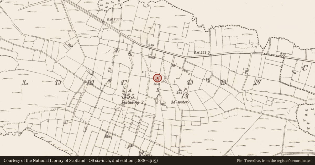 Ordnance Survey six-inch map, 2nd edition (1888–1915) covering the location of Ringfort - rath, Lomcloon, County Sligo, with a pin at the register's coordinates
