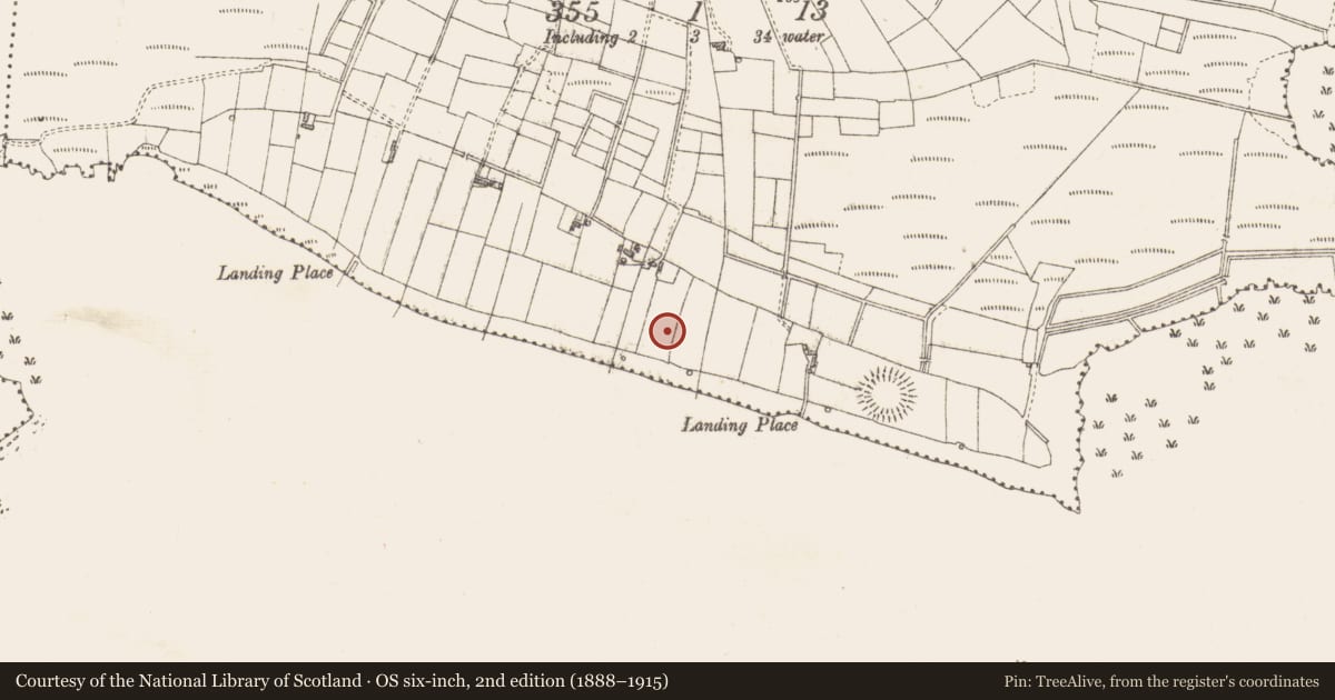 Ordnance Survey six-inch map, 2nd edition (1888–1915) covering the location of Burnt spread, Lomcloon, County Sligo, with a pin at the register's coordinates