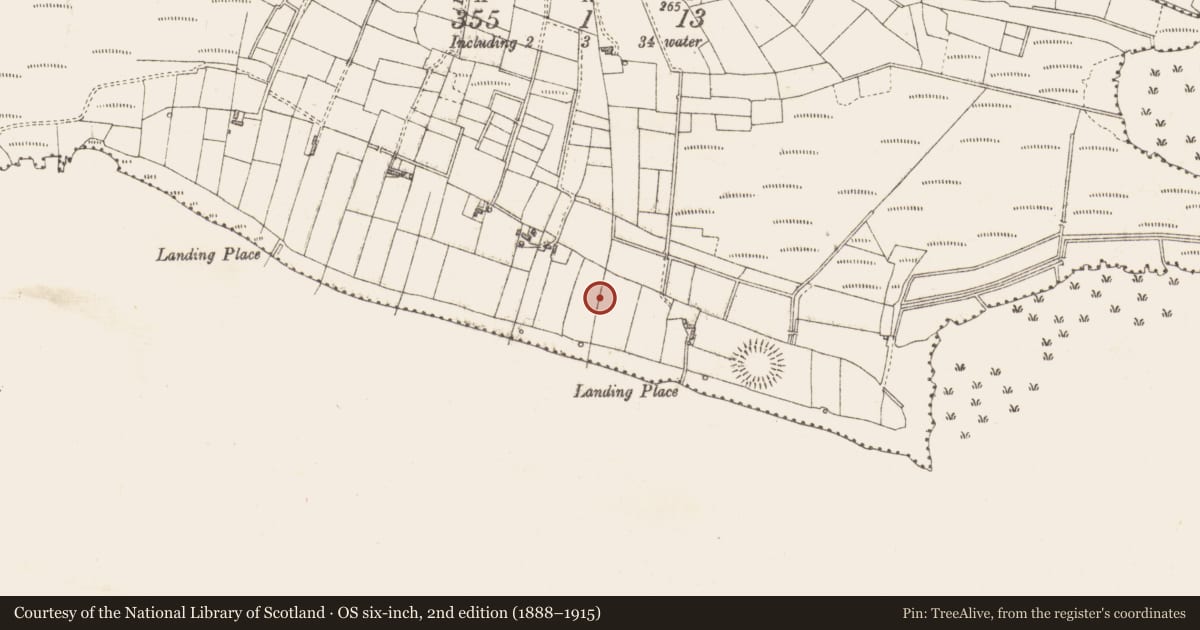 Ordnance Survey six-inch map, 2nd edition (1888–1915) covering the location of Burnt spread, Lomcloon, County Sligo, with a pin at the register's coordinates