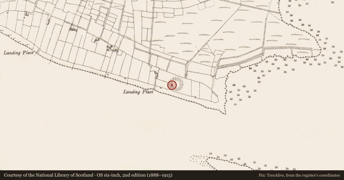Ordnance Survey six-inch map, 2nd edition (1888–1915) covering the location of Ringfort - rath, Lomcloon, County Sligo, with a pin at the register's coordinates