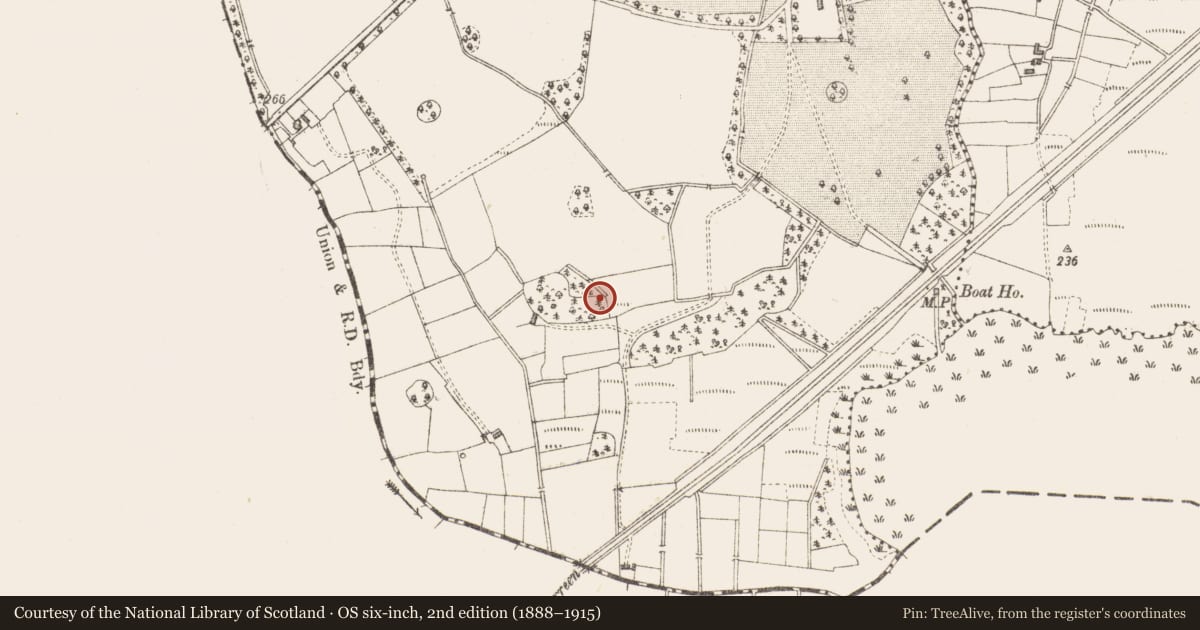 Ordnance Survey six-inch map, 2nd edition (1888–1915) covering the location of Cist, Clogher, County Sligo, with a pin at the register's coordinates