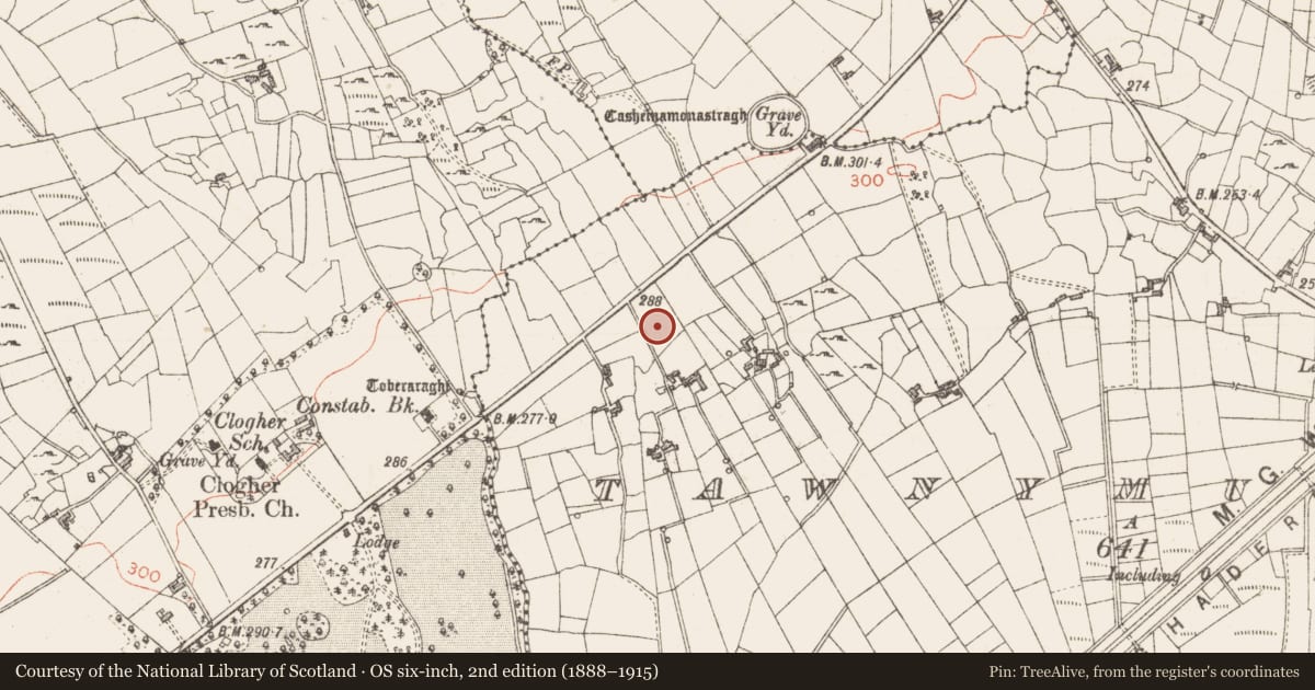 Ordnance Survey six-inch map, 2nd edition (1888–1915) covering the location of Hut site, Tawnymucklagh, County Sligo, with a pin at the register's coordinates