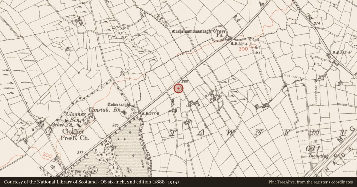 Ordnance Survey six-inch map, 2nd edition (1888–1915) covering the location of Standing stone, Tawnymucklagh, County Sligo, with a pin at the register's coordinates
