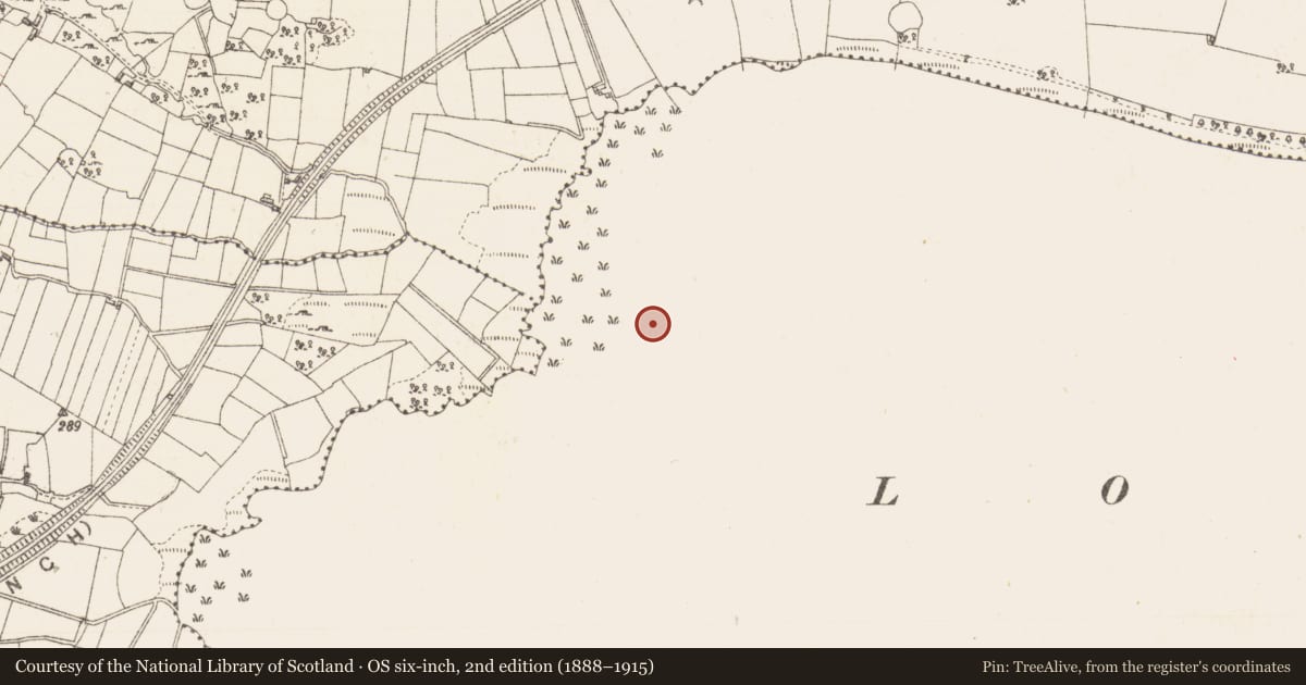 Ordnance Survey six-inch map, 2nd edition (1888–1915) covering the location of Crannog, Lough Gara, County Sligo, with a pin at the register's coordinates