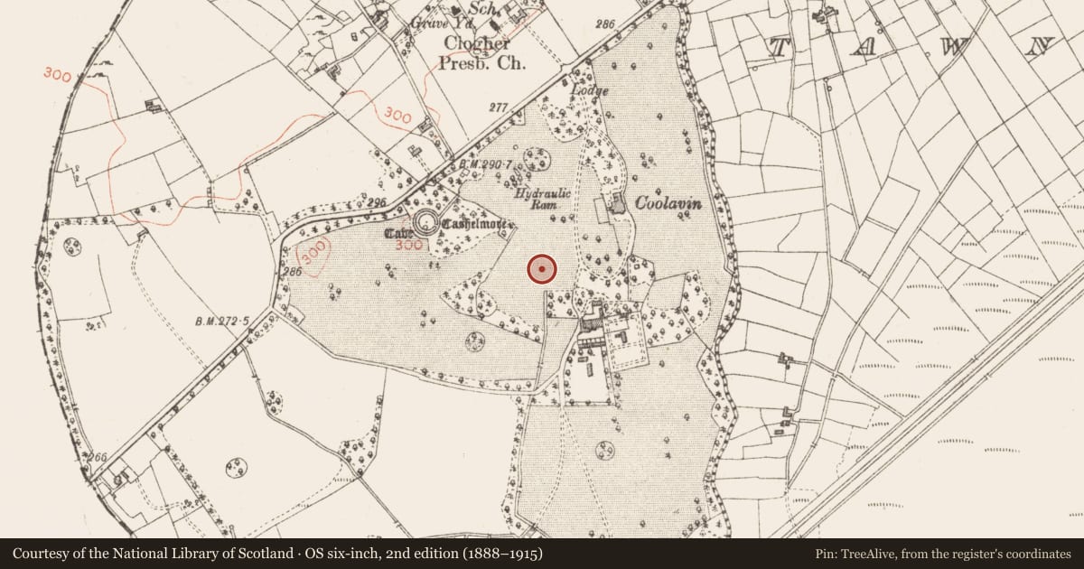 Ordnance Survey six-inch map, 2nd edition (1888–1915) covering the location of Fulacht fia, Clogher, County Sligo, with a pin at the register's coordinates