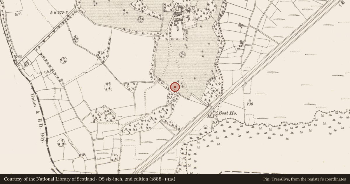 Ordnance Survey six-inch map, 2nd edition (1888–1915) covering the location of Fulacht fia, Clogher, County Sligo, with a pin at the register's coordinates