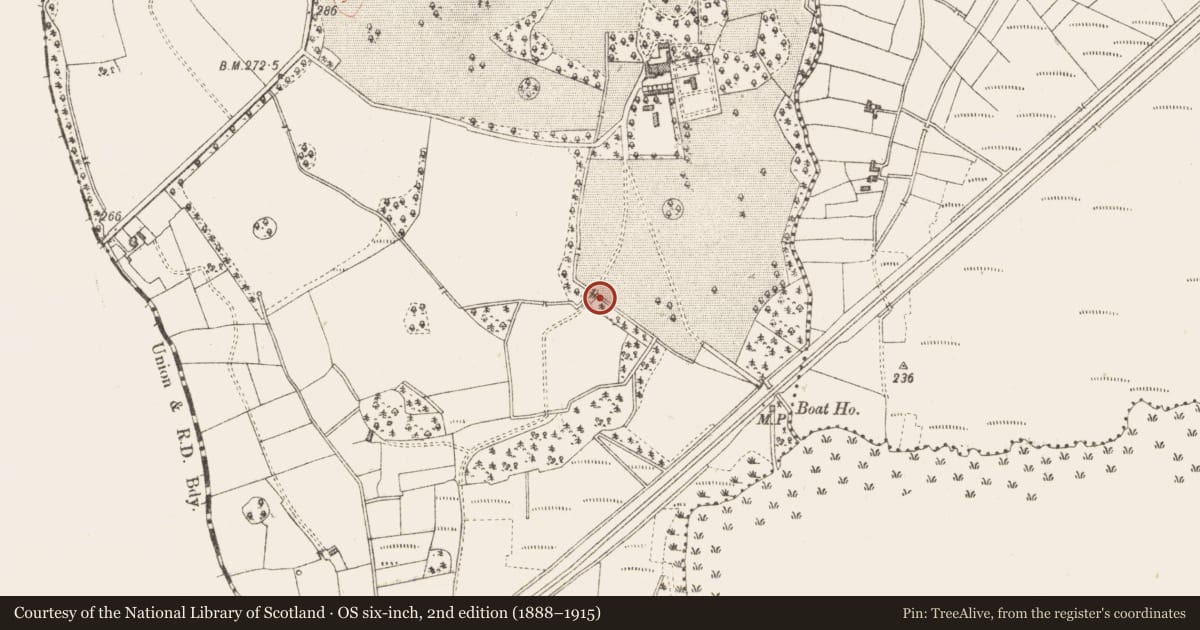 Ordnance Survey six-inch map, 2nd edition (1888–1915) covering the location of Fulacht fia, Clogher, County Sligo, with a pin at the register's coordinates