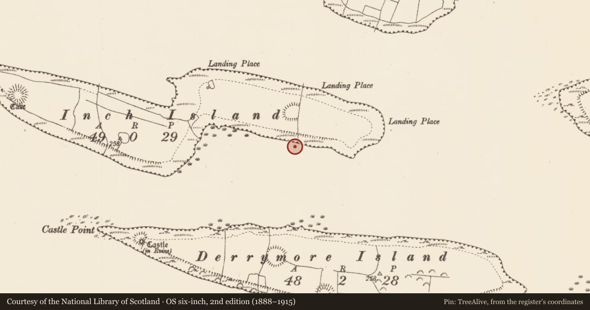Ordnance Survey six-inch map, 2nd edition (1888–1915) covering the location of Hut site, Lough Gara, County Sligo, with a pin at the register's coordinates