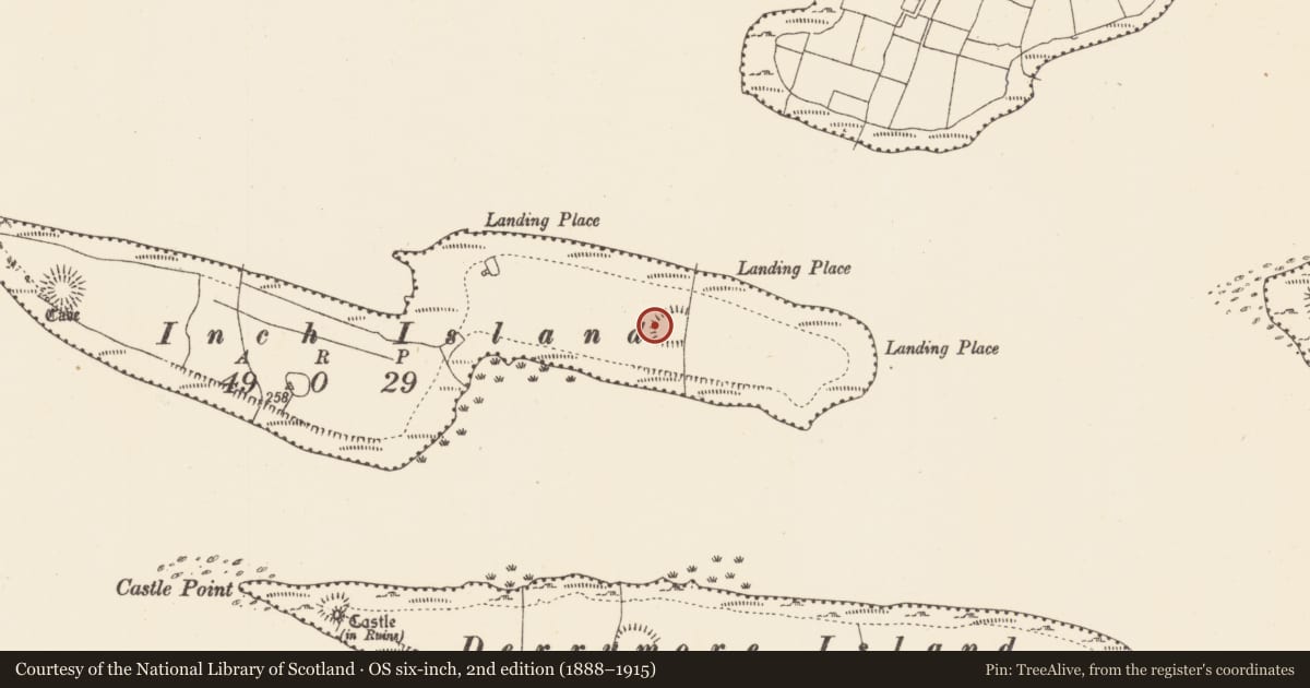 Ordnance Survey six-inch map, 2nd edition (1888–1915) covering the location of Ringfort - rath, Inch Island, County Sligo, with a pin at the register's coordinates