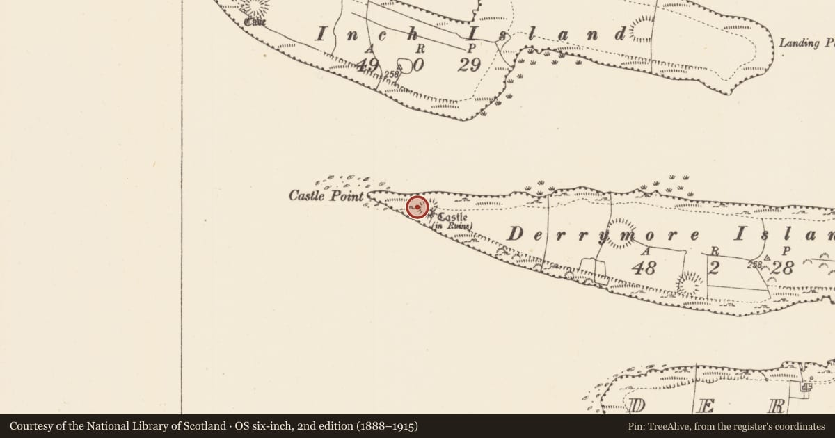 Ordnance Survey six-inch map, 2nd edition (1888–1915) covering the location of Castle - unclassified, Derrymore Island, County Sligo, with a pin at the register's coordinates