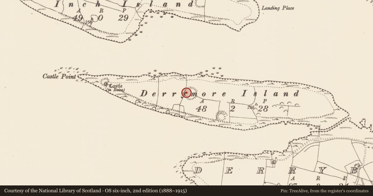 Ordnance Survey six-inch map, 2nd edition (1888–1915) covering the location of Ringfort - rath, Derrymore Island, County Sligo, with a pin at the register's coordinates