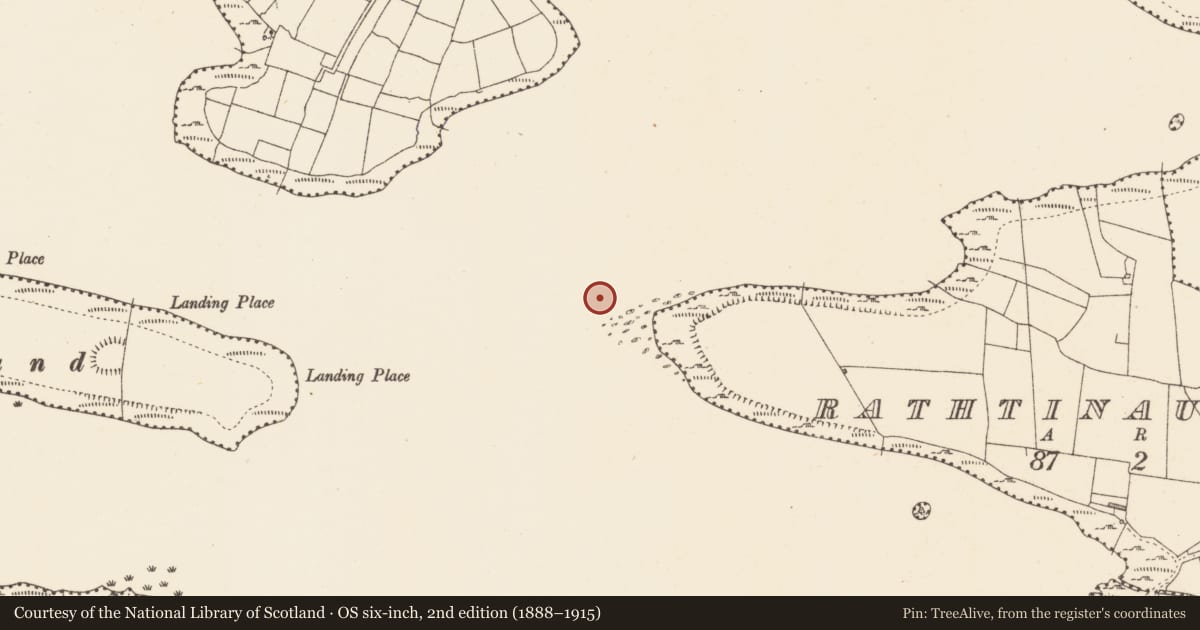 Ordnance Survey six-inch map, 2nd edition (1888–1915) covering the location of Crannog, Lough Gara, County Sligo, with a pin at the register's coordinates