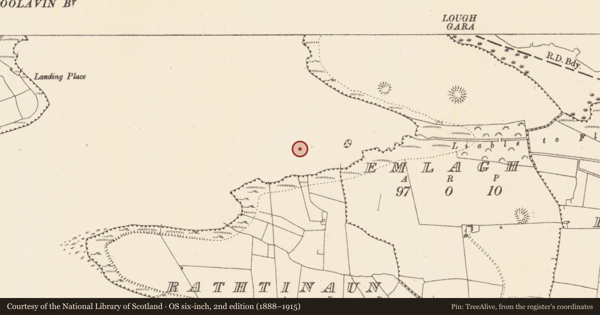 Ordnance Survey six-inch map, 2nd edition (1888–1915) covering the location of Crannog, Lough Gara, County Sligo, with a pin at the register's coordinates