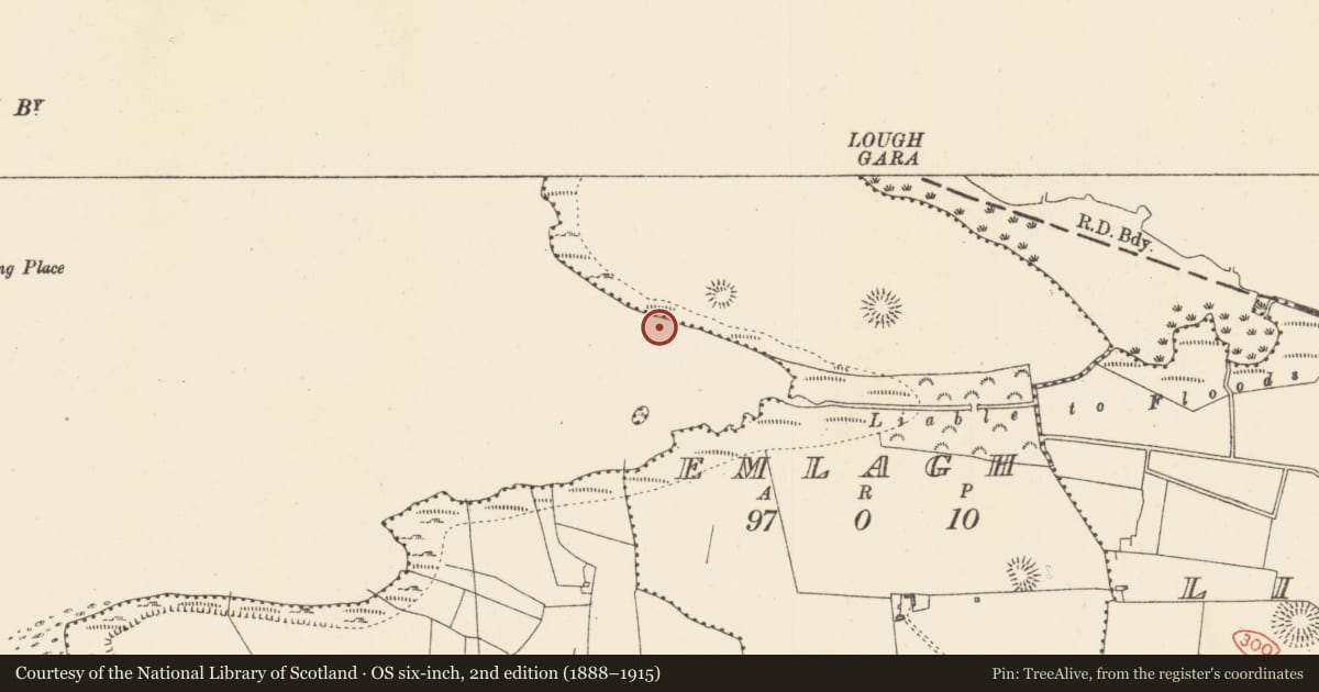 Ordnance Survey six-inch map, 2nd edition (1888–1915) covering the location of Crannog, Lough Gara, County Sligo, with a pin at the register's coordinates