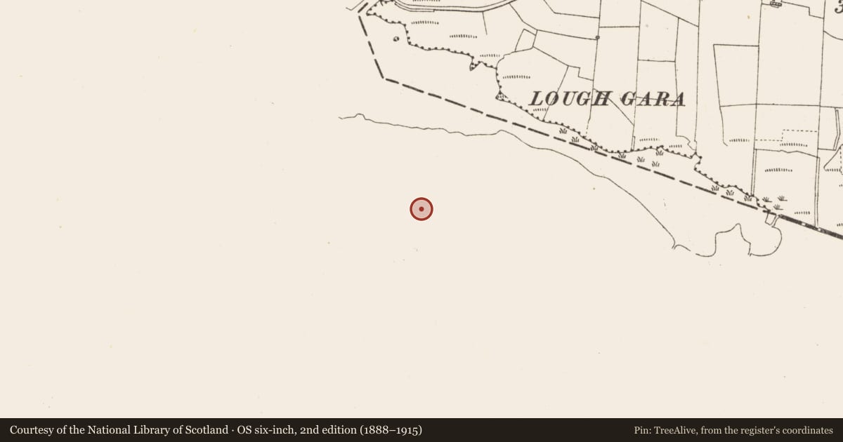 Ordnance Survey six-inch map, 2nd edition (1888–1915) covering the location of Ringfort - rath, Emlagh, County Sligo, with a pin at the register's coordinates