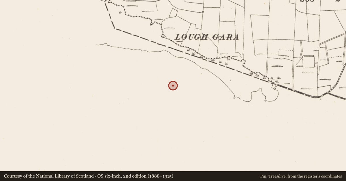Ordnance Survey six-inch map, 2nd edition (1888–1915) covering the location of Ringfort - rath, Emlagh, County Sligo, with a pin at the register's coordinates