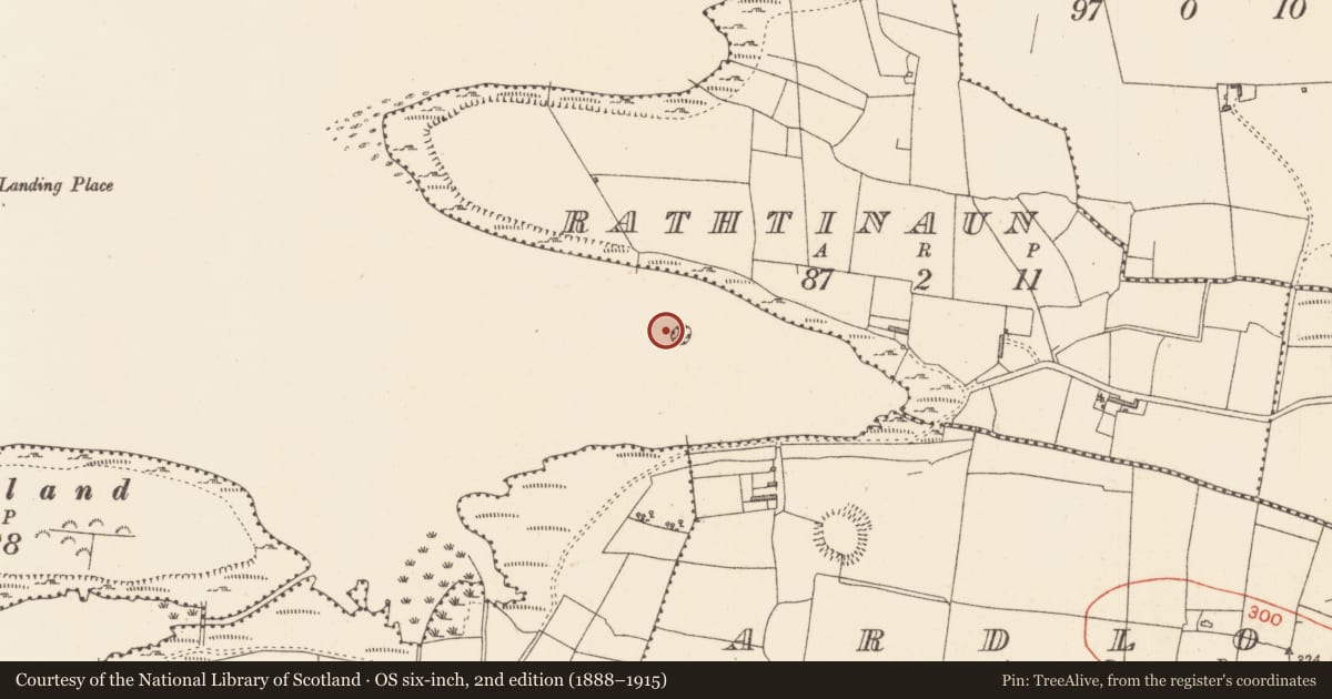 Ordnance Survey six-inch map, 2nd edition (1888–1915) covering the location of Crannog, Lough Gara, County Sligo, with a pin at the register's coordinates
