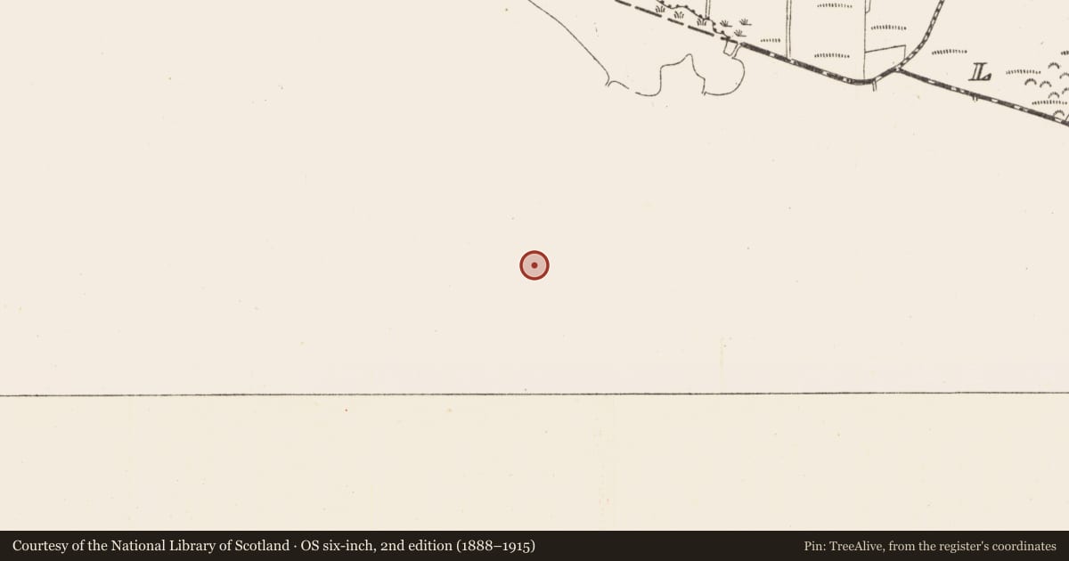 Ordnance Survey six-inch map, 2nd edition (1888–1915) covering the location of Ringfort - rath, Emlagh, County Sligo, with a pin at the register's coordinates
