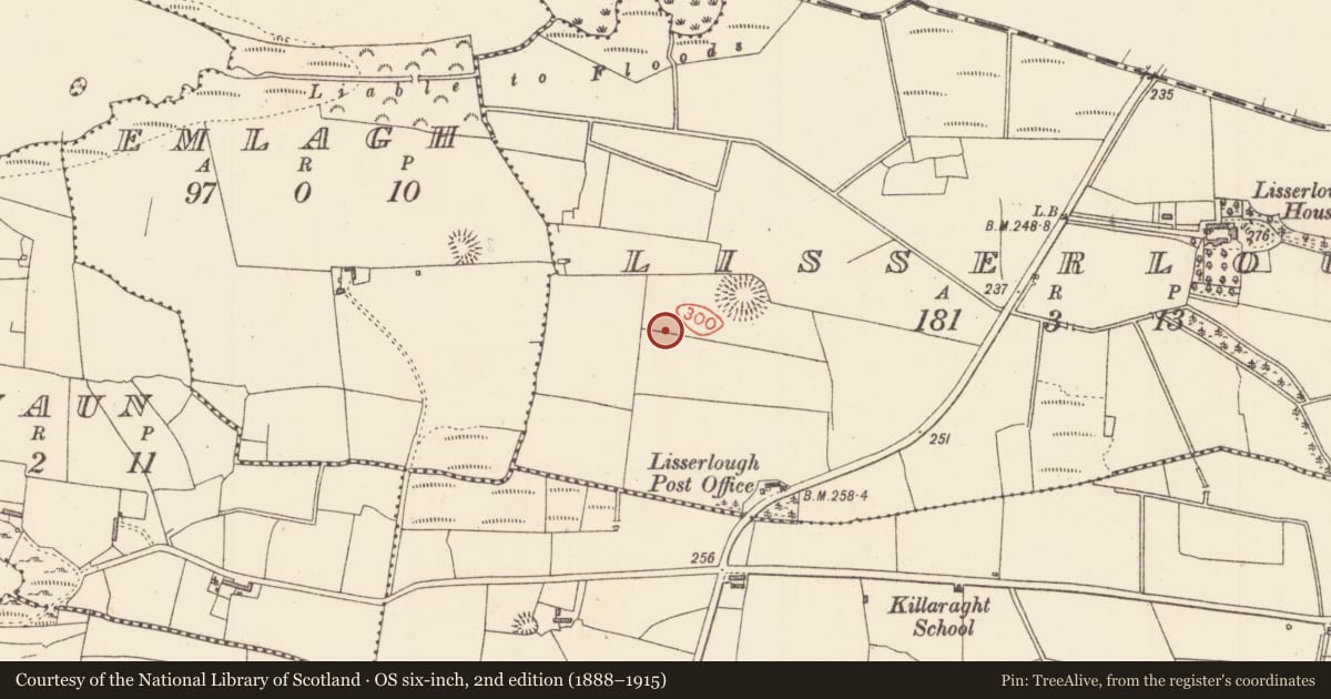 Ordnance Survey six-inch map, 2nd edition (1888–1915) covering the location of Ringfort - rath, Lisserlough, County Sligo, with a pin at the register's coordinates