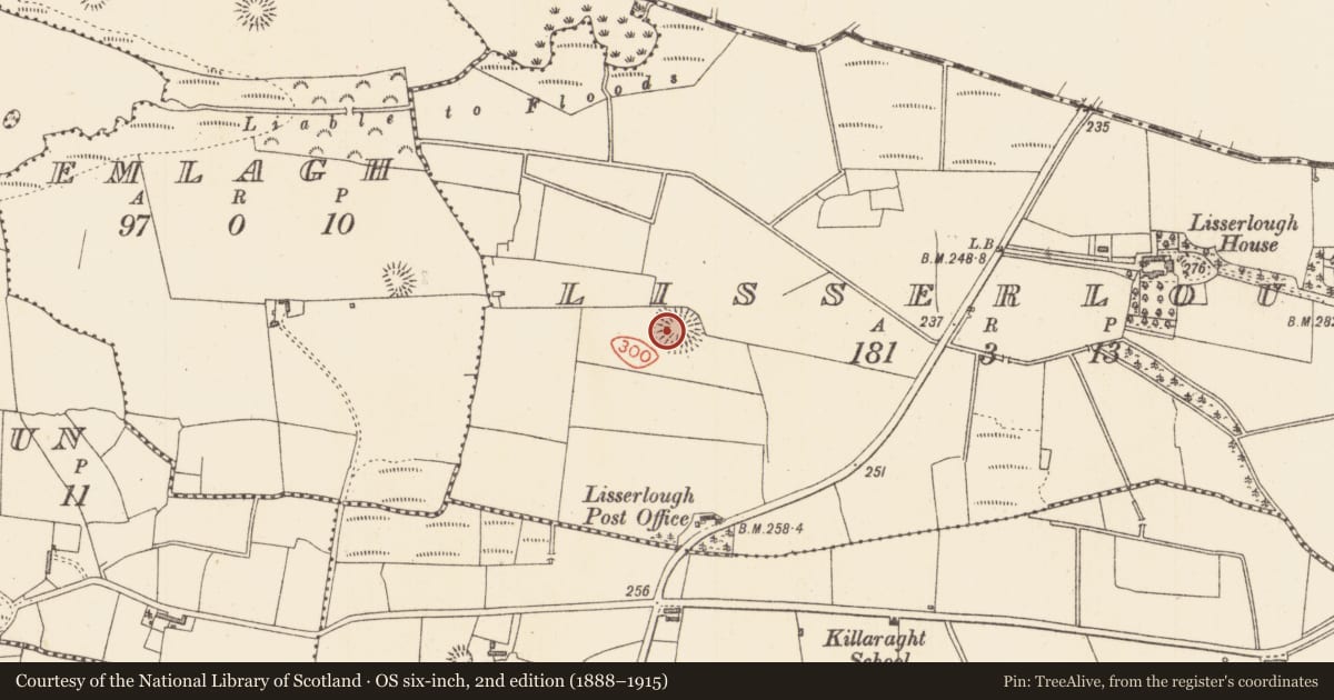 Ordnance Survey six-inch map, 2nd edition (1888–1915) covering the location of Ringfort - rath, Lisserlough, County Sligo, with a pin at the register's coordinates