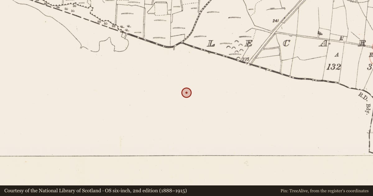 Ordnance Survey six-inch map, 2nd edition (1888–1915) covering the location of Field system, Lisserlough, County Sligo, with a pin at the register's coordinates