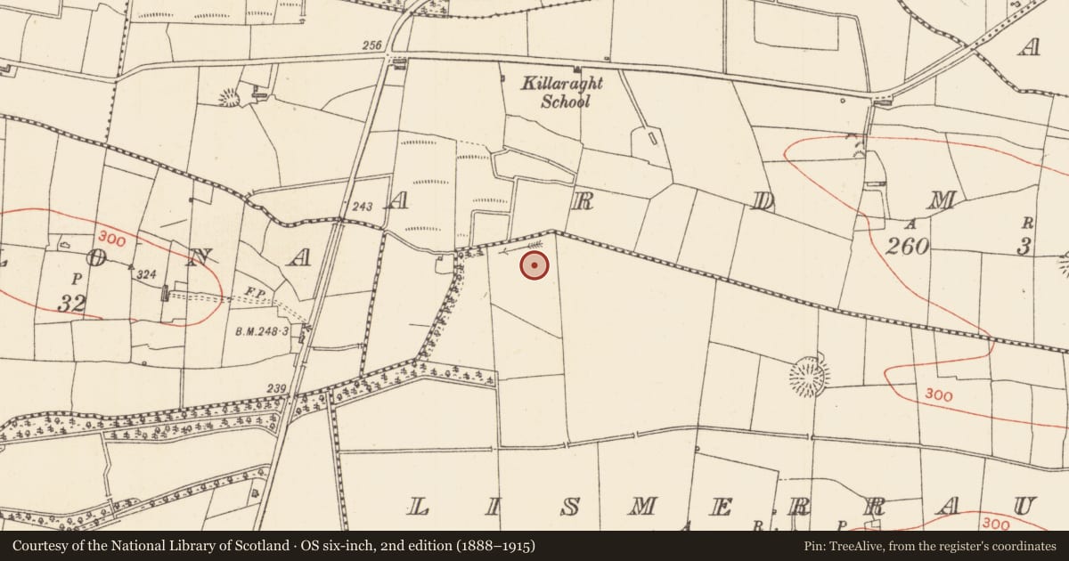 Ordnance Survey six-inch map, 2nd edition (1888–1915) covering the location of Ringfort - rath, Lismerraun, County Sligo, with a pin at the register's coordinates