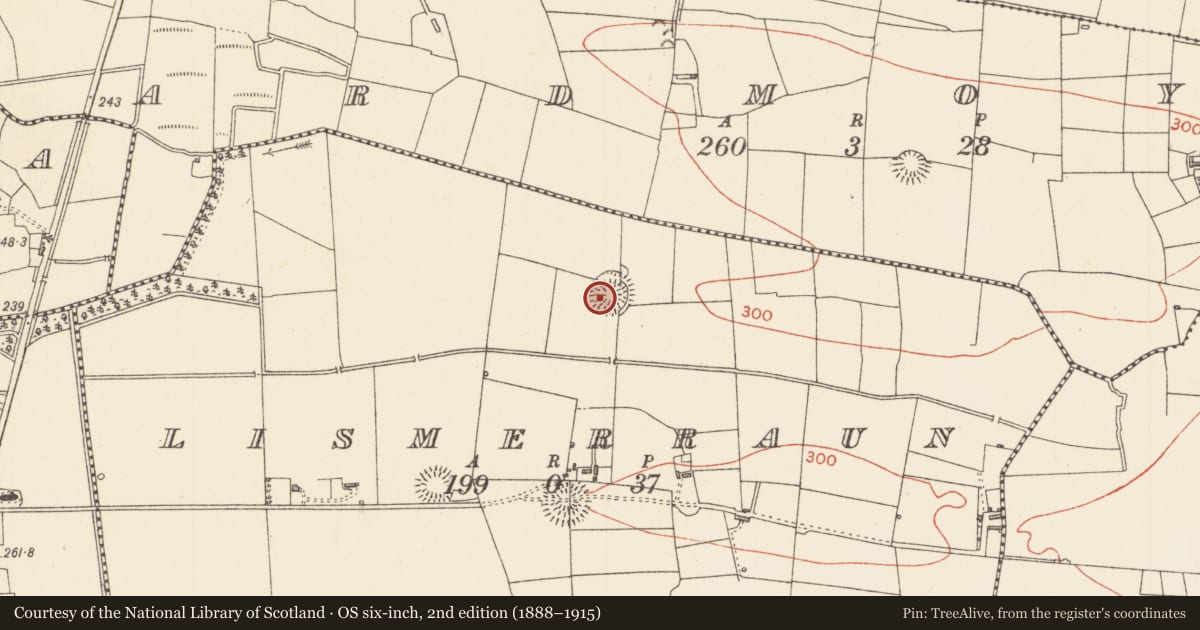 Ordnance Survey six-inch map, 2nd edition (1888–1915) covering the location of Ringfort - rath, Lismerraun, County Sligo, with a pin at the register's coordinates