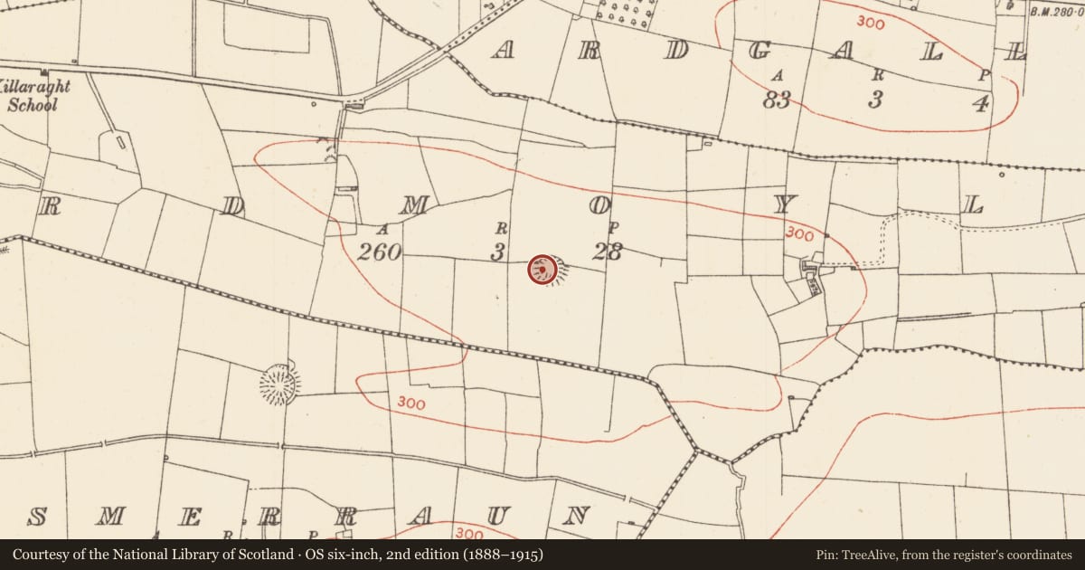 Ordnance Survey six-inch map, 2nd edition (1888–1915) covering the location of Ringfort - rath, Ardmoyle, County Sligo, with a pin at the register's coordinates