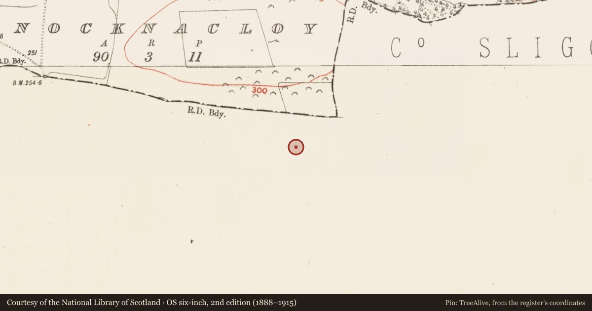 Ordnance Survey six-inch map, 2nd edition (1888–1915) covering the location of Ringfort - rath, Ardgallin, County Sligo, with a pin at the register's coordinates
