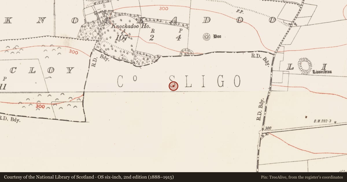 Ordnance Survey six-inch map, 2nd edition (1888–1915) covering the location of Enclosure, Carrownaun, County Sligo, with a pin at the register's coordinates
