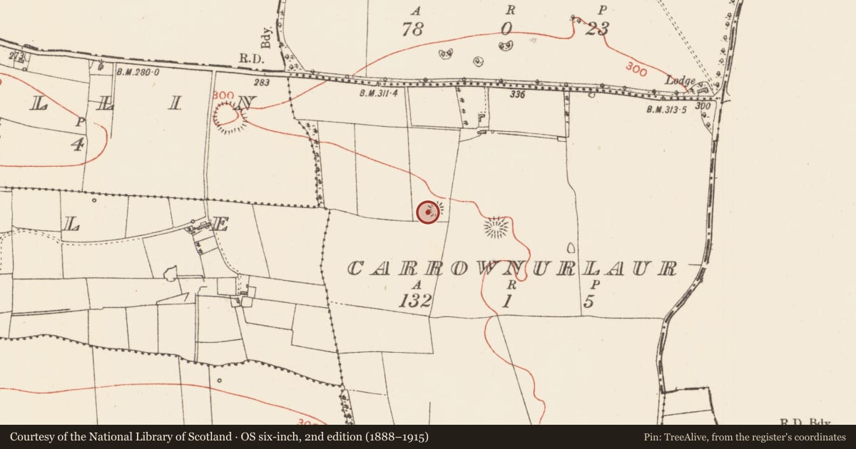 Ordnance Survey six-inch map, 2nd edition (1888–1915) covering the location of Quarry, Carrownurlaur, County Sligo, with a pin at the register's coordinates