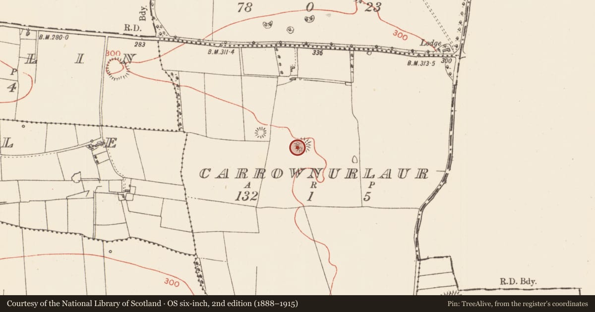 Ordnance Survey six-inch map, 2nd edition (1888–1915) covering the location of Ringfort - rath, Carrownurlaur, County Sligo, with a pin at the register's coordinates