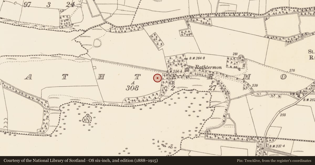 Ordnance Survey six-inch map, 2nd edition (1888–1915) covering the location of Enclosure, Rathtermon, County Sligo, with a pin at the register's coordinates