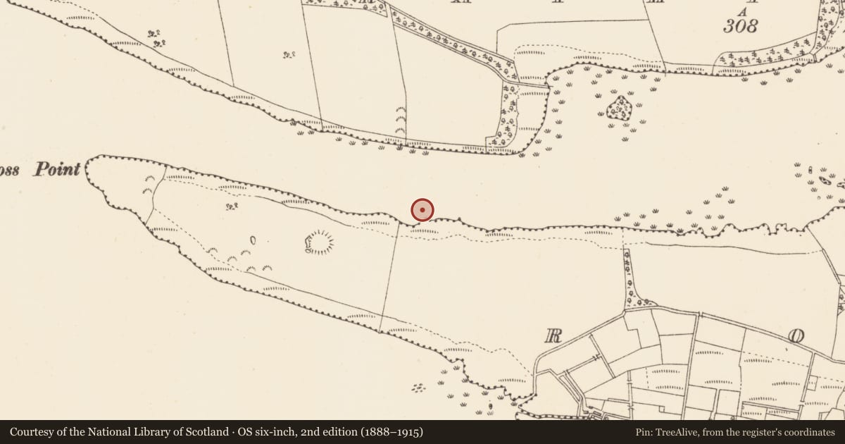 Ordnance Survey six-inch map, 2nd edition (1888–1915) covering the location of Crannog, Lough Gara, County Sligo, with a pin at the register's coordinates
