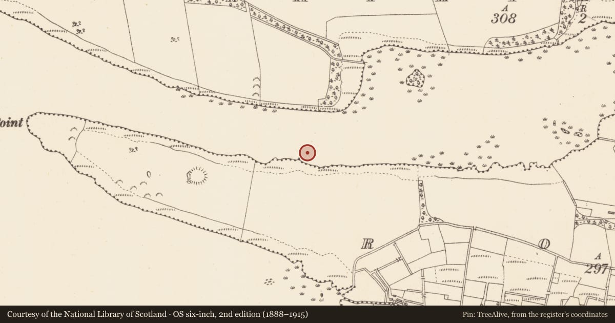 Ordnance Survey six-inch map, 2nd edition (1888–1915) covering the location of Crannog, Lough Gara, County Sligo, with a pin at the register's coordinates
