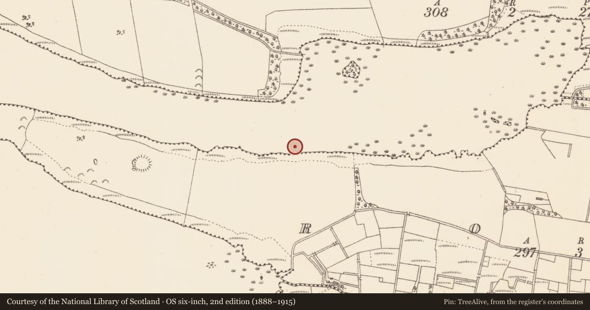 Ordnance Survey six-inch map, 2nd edition (1888–1915) covering the location of Crannog, Lough Gara, County Sligo, with a pin at the register's coordinates