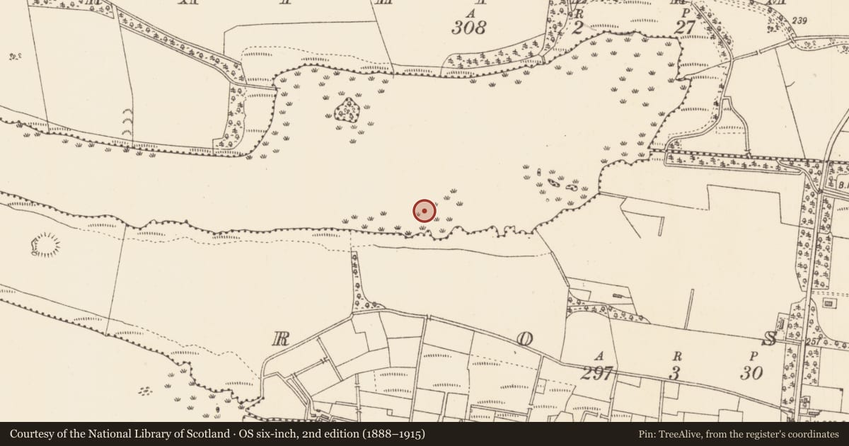 Ordnance Survey six-inch map, 2nd edition (1888–1915) covering the location of Crannog, Lough Gara, County Sligo, with a pin at the register's coordinates
