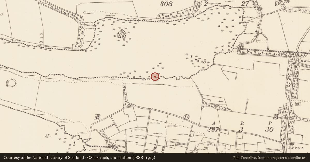 Ordnance Survey six-inch map, 2nd edition (1888–1915) covering the location of Crannog, Lough Gara, County Sligo, with a pin at the register's coordinates