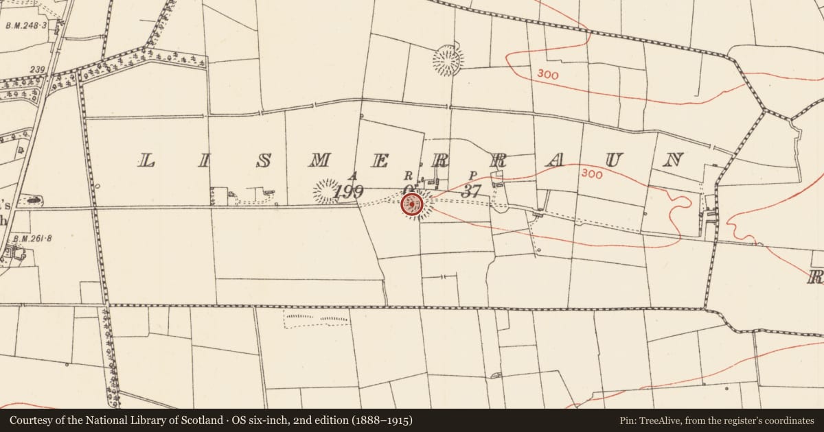 Ordnance Survey six-inch map, 2nd edition (1888–1915) covering the location of Ringfort - rath, Lismerraun, County Sligo, with a pin at the register's coordinates