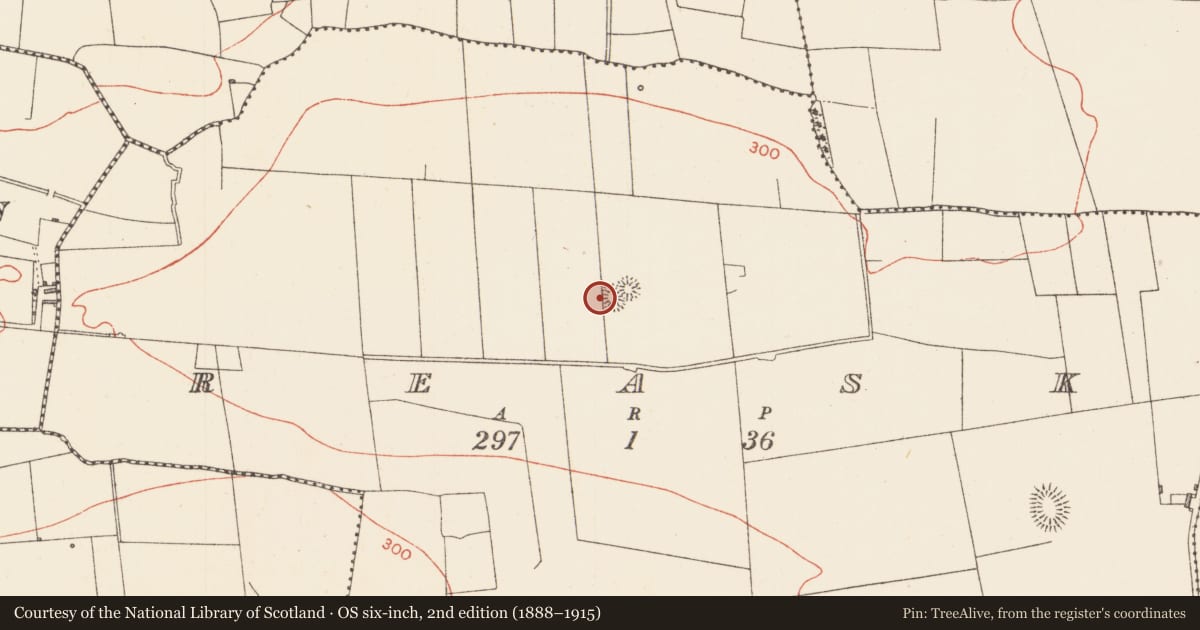 Ordnance Survey six-inch map, 2nd edition (1888–1915) covering the location of Barrow - bowl-barrow, Reask, County Sligo, with a pin at the register's coordinates